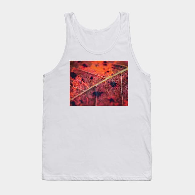 Fall Leaf Close Up Tank Top by glovegoals